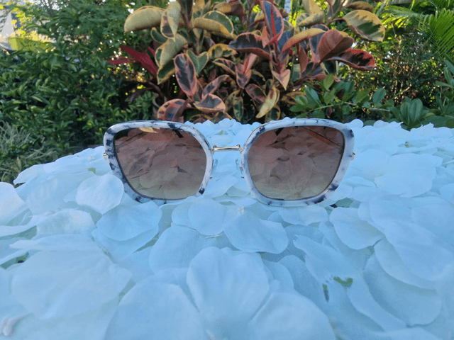 LUZ Lunettes de soleil Marbré/Marron